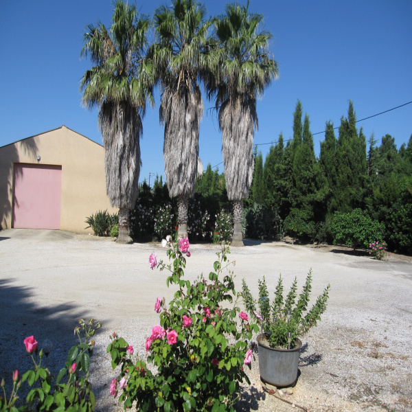 Offres de vente Propriete Perpignan 66000